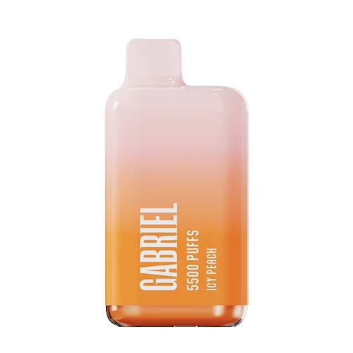 GABRIEL DISPOSABLE ICY PEACH 5%