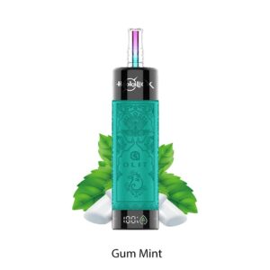 GUM MINT OLIT HOOKALIT X DISPOSABLE